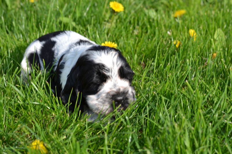 Vrh H a CH 21-Charlie.JPG